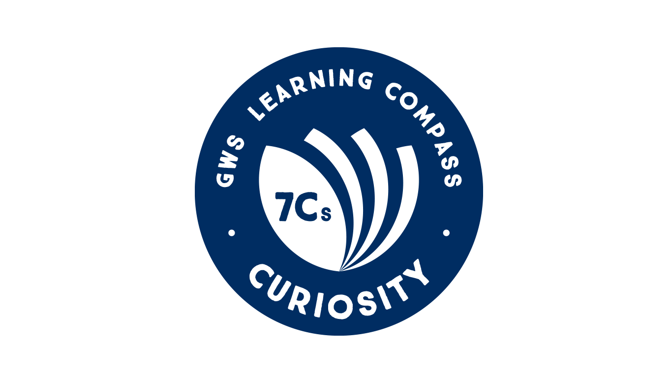 7 Cs Curiosity